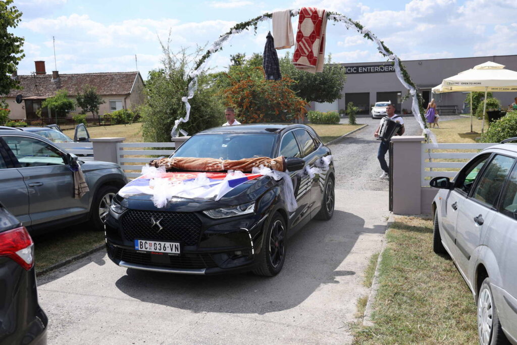 Danicici-avgust 2024-foto zec _0052