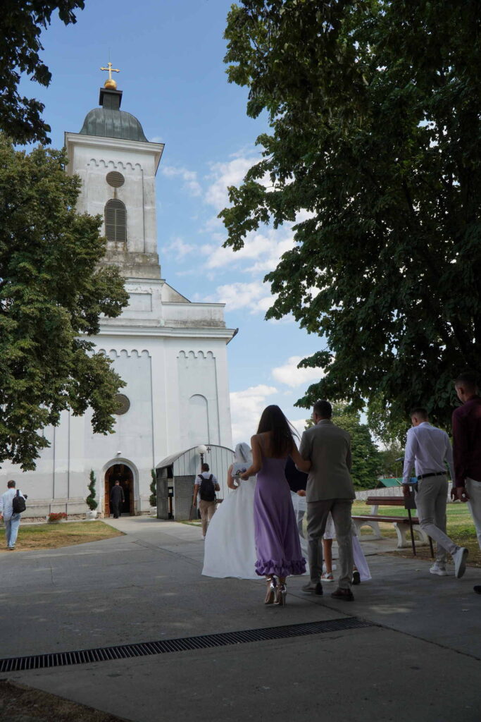 Danicici-avgust 2024-foto zec _1162