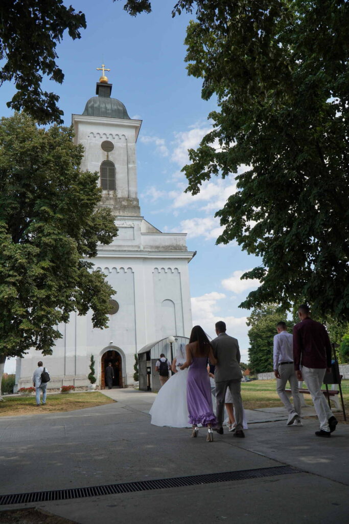 Danicici-avgust 2024-foto zec _1163