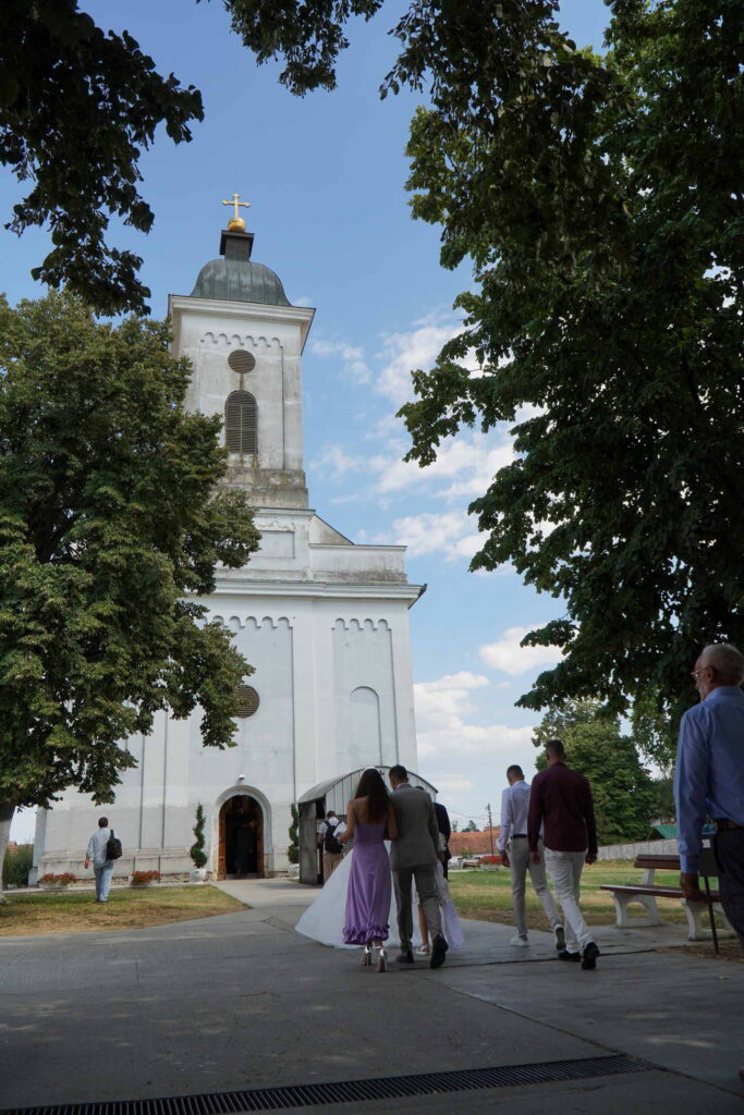 Danicici-avgust 2024-foto zec _1164