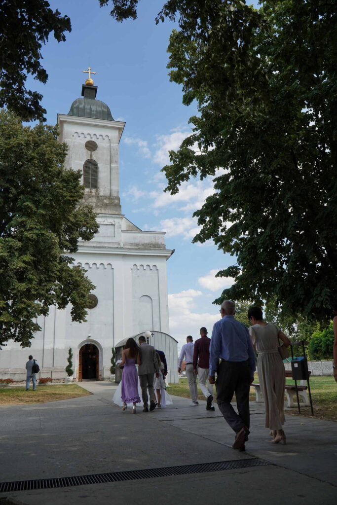 Danicici-avgust 2024-foto zec _1165