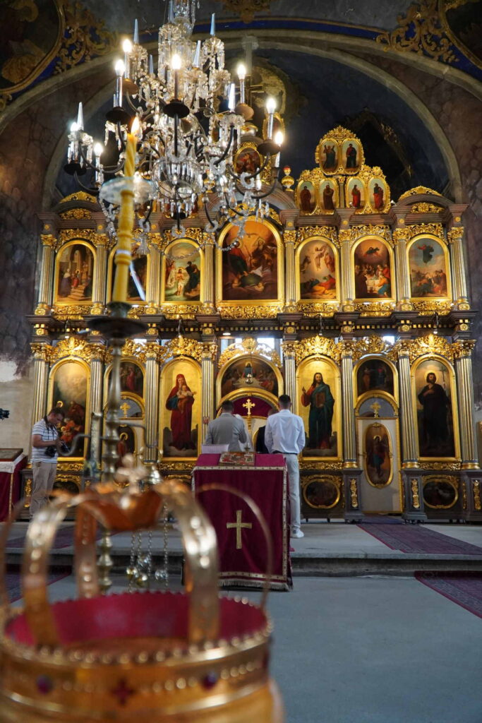 Danicici-avgust 2024-foto zec _1181