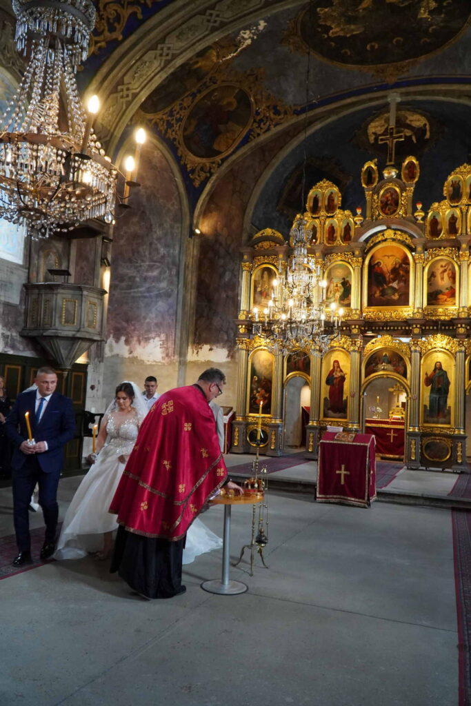 Danicici-avgust 2024-foto zec _1237