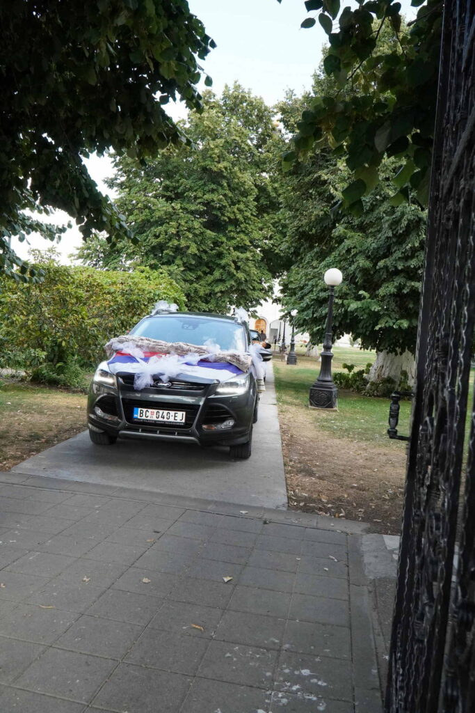 Danicici-avgust 2024-foto zec _1586