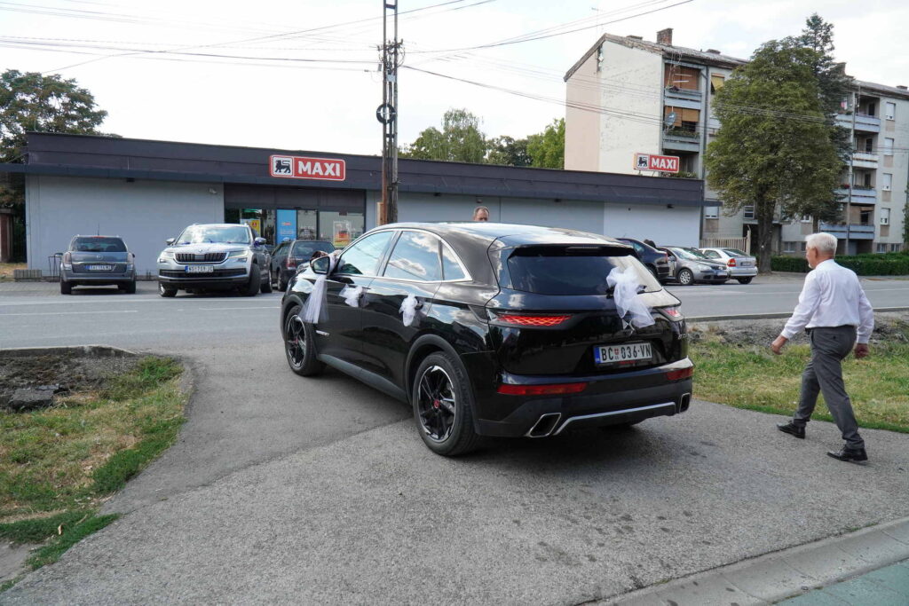 Danicici-avgust 2024-foto zec _1599