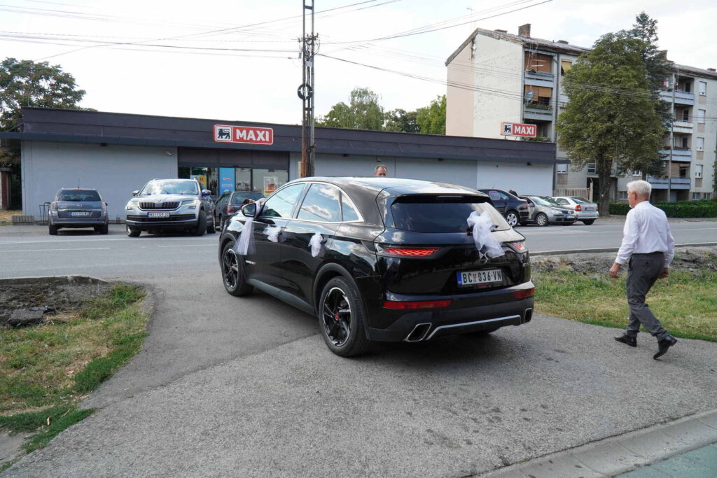 Danicici-avgust 2024-foto zec _1600