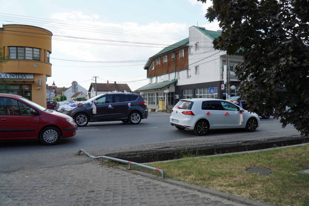 Danicici-avgust 2024-foto zec _1601