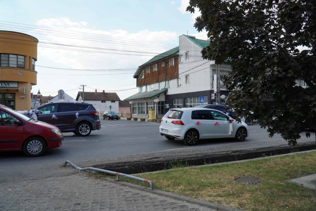 Danicici-avgust 2024-foto zec _1602