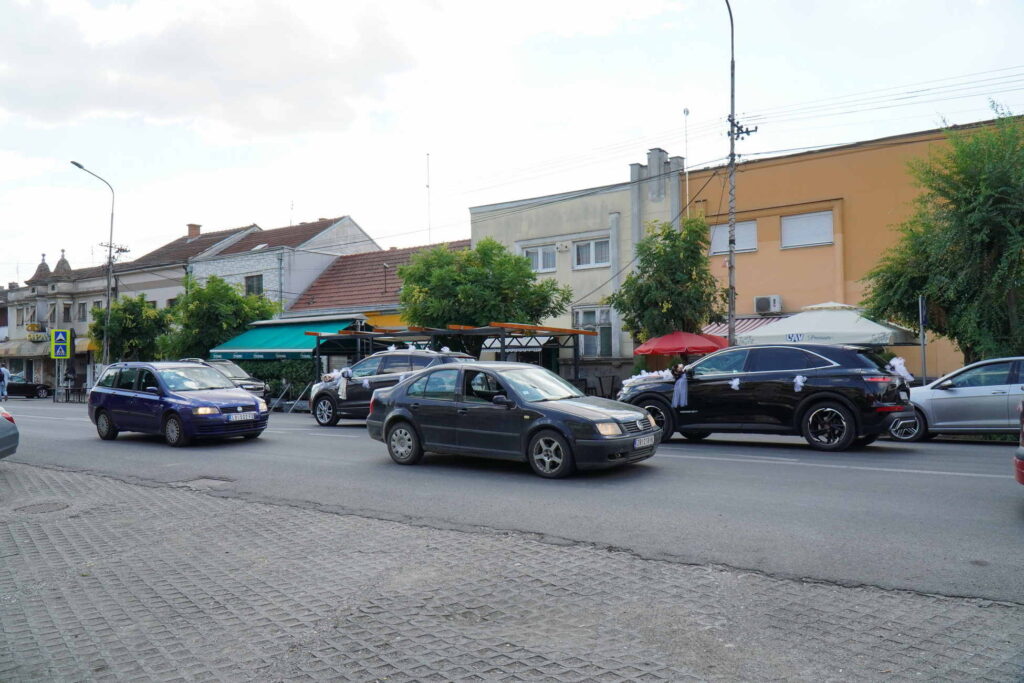 Danicici-avgust 2024-foto zec _1603