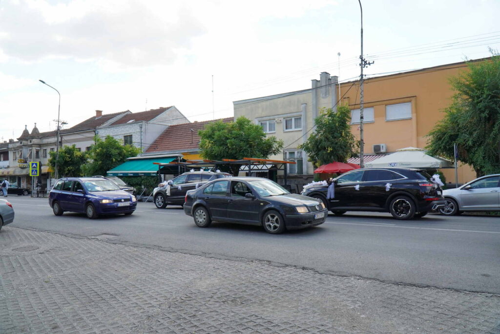 Danicici-avgust 2024-foto zec _1604