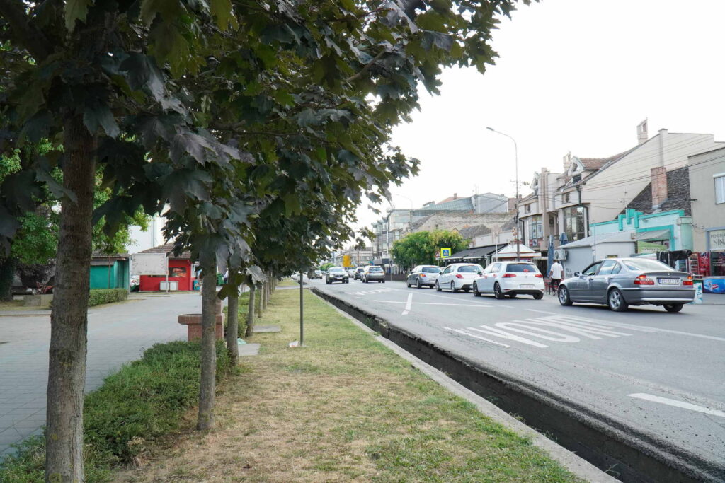 Danicici-avgust 2024-foto zec _1608