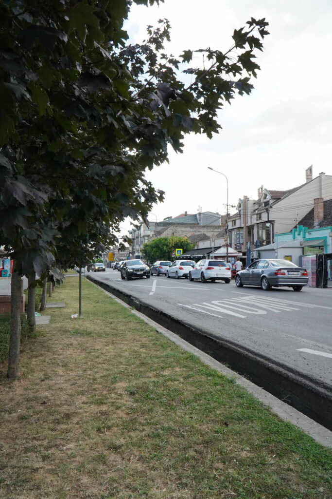 Danicici-avgust 2024-foto zec _1609