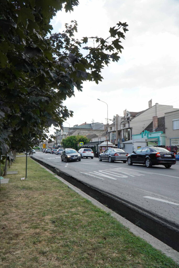 Danicici-avgust 2024-foto zec _1610