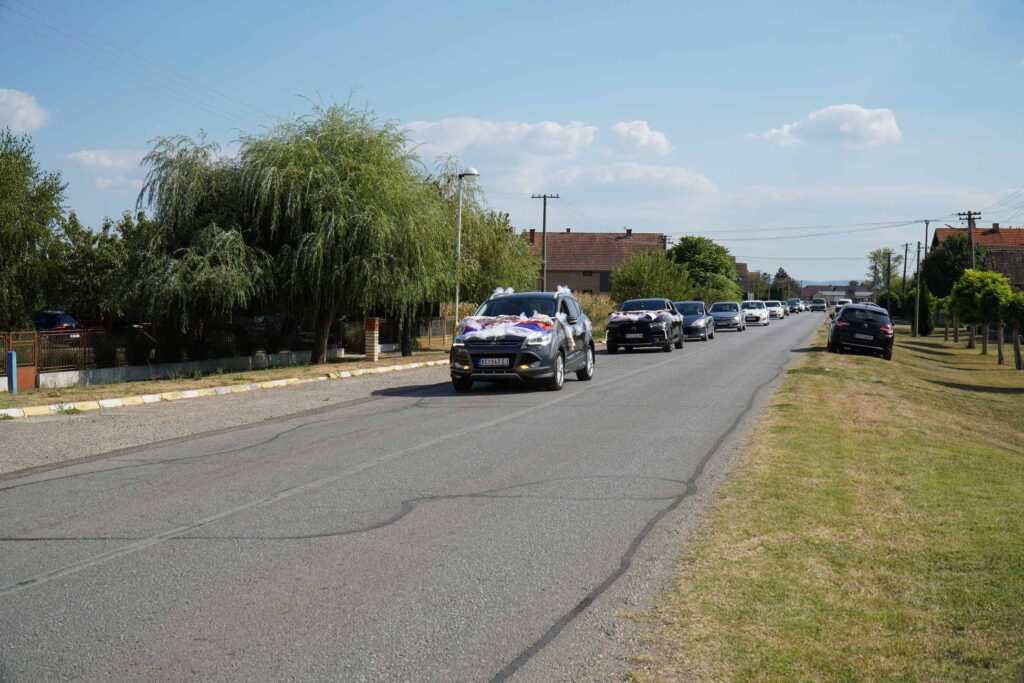 Danicici-avgust 2024-foto zec _1637