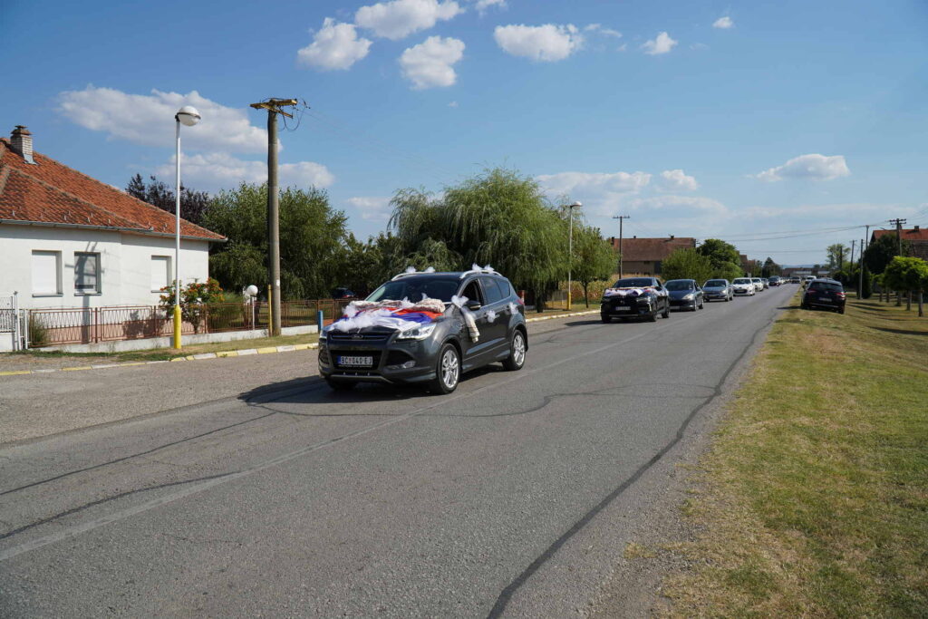 Danicici-avgust 2024-foto zec _1638