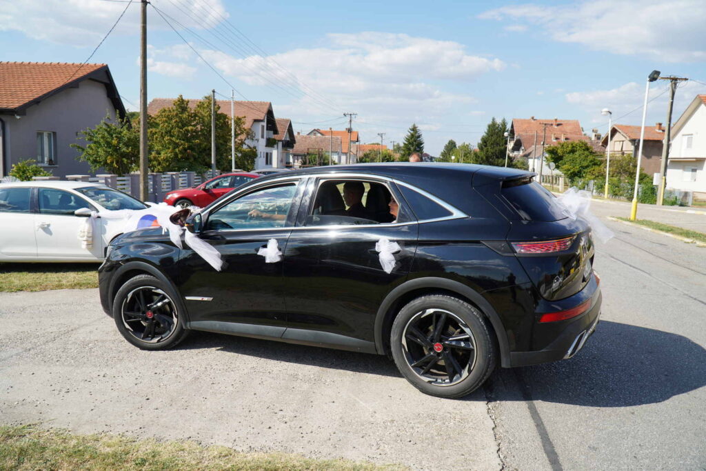 Danicici-avgust 2024-foto zec _1642