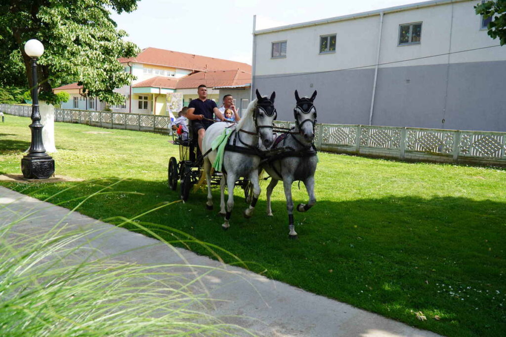 Šendeković M&M Svadba_0977