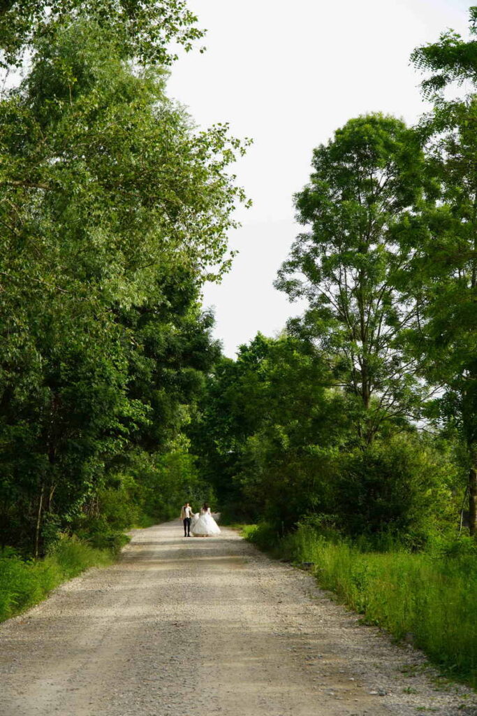 Šendeković M&M Svadba_1331