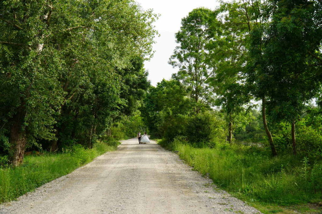 Šendeković M&M Svadba_1332