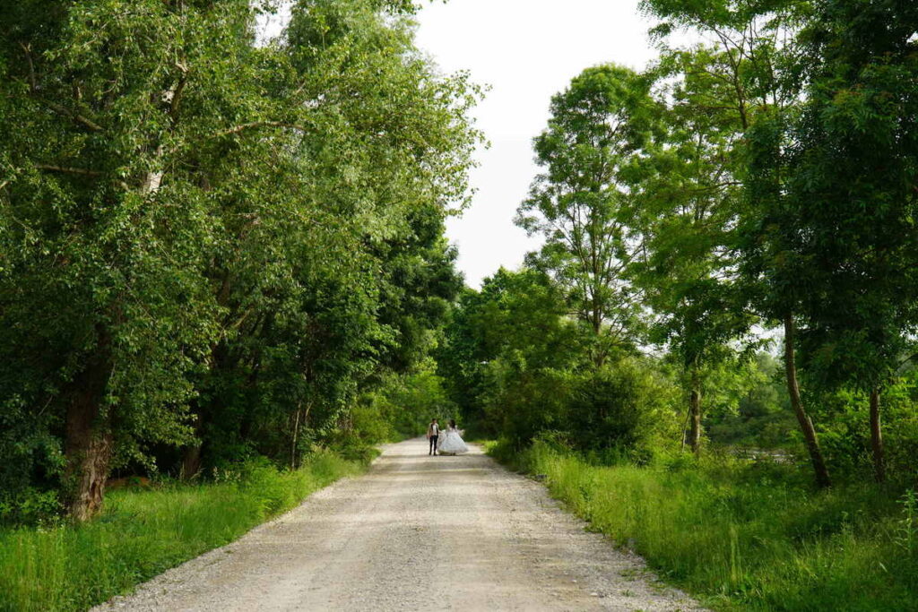 Šendeković M&M Svadba_1333