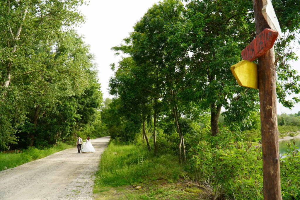 Šendeković M&M Svadba_1334