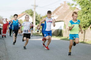 Macvanska lila Belotic 2024_031