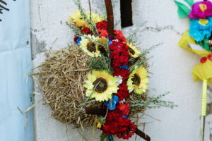 Macvanska lila Belotic 2024_073