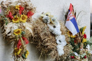 Macvanska lila Belotic 2024_074