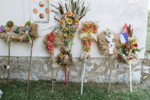 Macvanska lila Belotic 2024_083