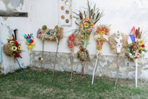 Macvanska lila Belotic 2024_084