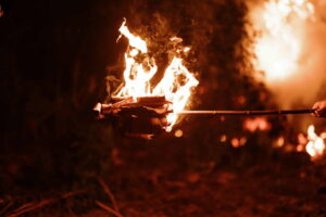 Macvanska lila Belotic 2024_201