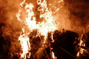 Macvanska lila Belotic 2024_226