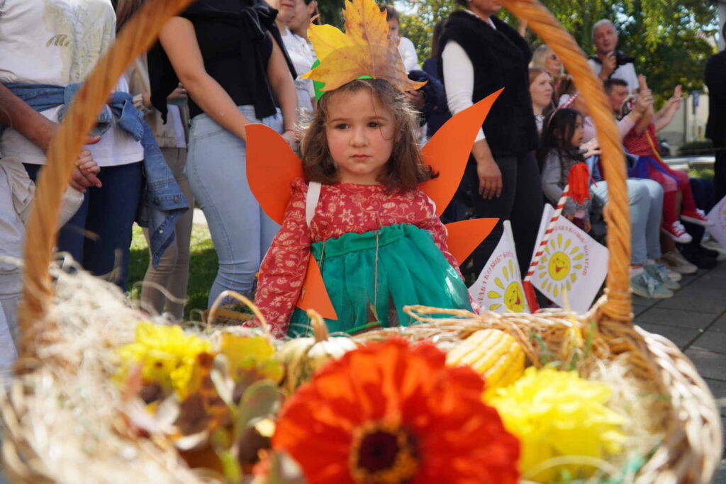 Maskenbal 2024 -Bogatic_377