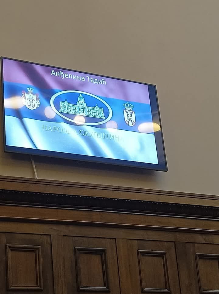 Змињак. Анђелина Тадић, децембра 2024. присуствовала додели награда у Народној скупштини Републике Србије као једна од три најуспешнија ученика из ликовне културе у Србији од петог до осмог разреда